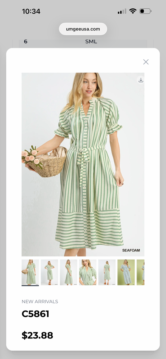 Umgee Green Stripe Dress